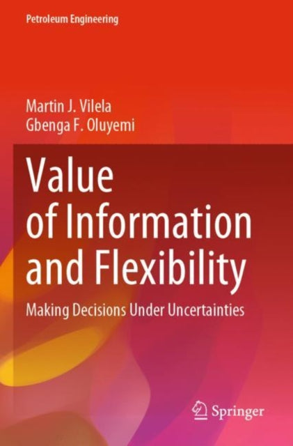 Book cover of: Value of Information and Flexibility. By: Martin J. Vilela