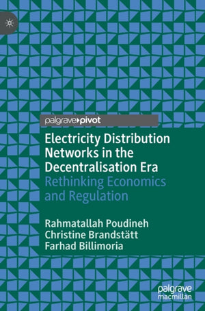 Electricity Distribution Networks in the Decentralisation Era