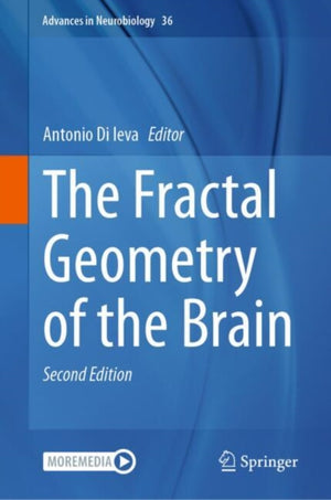 Fractal Geometry of the Brain