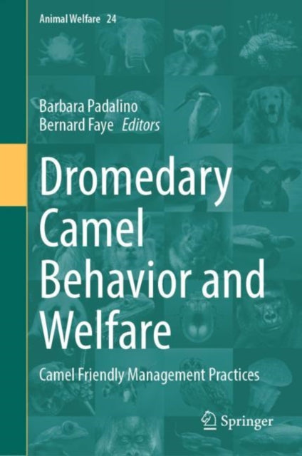 Book cover of: Dromedary Camel Behavior and Welfare. By: Barbara Padalino