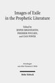 Book cover of: Images of Exile in the Prophetic Literature
