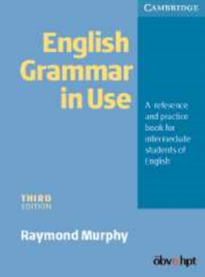 English Grammar in Use Without Answers