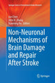 Book cover of: Non-Neuronal Mechanisms of Brain Damage and Repair After Stroke. By: Jun Chen