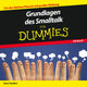 Book cover of: Grundlagen des Smalltalk fur Dummies