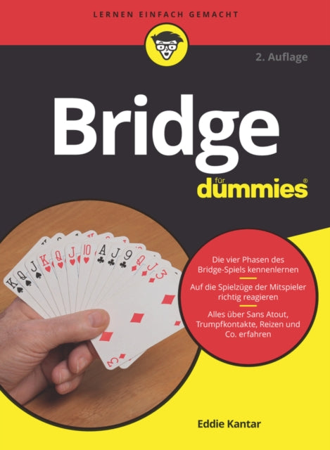 Bridge fur Dummies