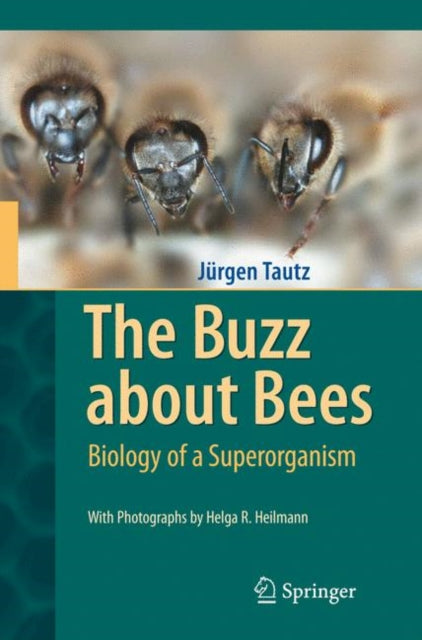 Book cover of: Buzz about Bees. By: Jürgen Tautz