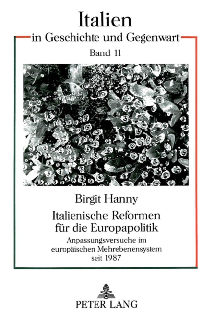 Book cover of: Italienische Reformen fuer die Europapolitik
