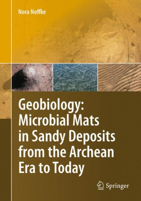 Book cover of: Geobiology. By: N. Noffke
