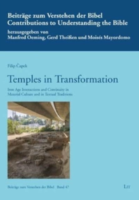 Book cover of: Temples in Transformation. By: Filip Capek