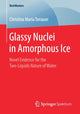 Book cover of: Glassy Nuclei in Amorphous Ice. By: Christina Maria Tonauer