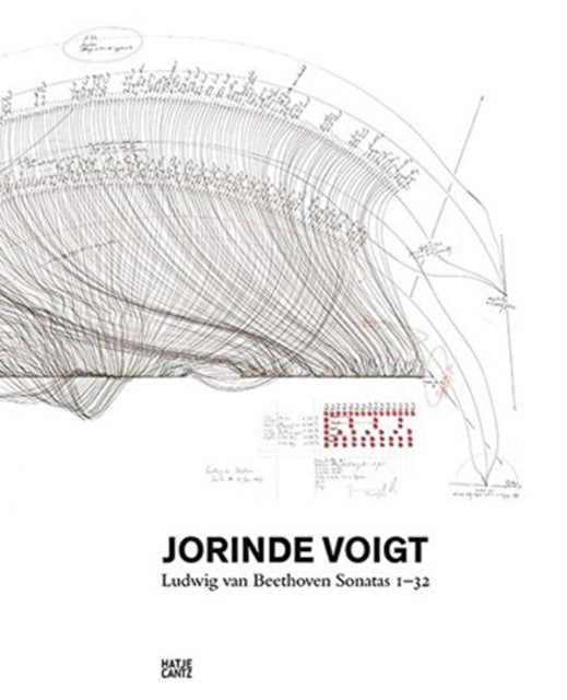 Book cover of: Jorinde Voigt. By: David Nolan