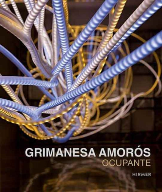 Book cover of: Grimanesa Amoros: Ocupante