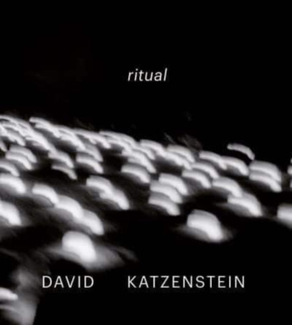 Book cover of: David Katzenstein. By: David Katzenstein