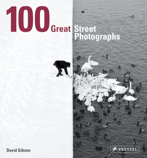 Book cover of: 100 Great Street Photographs. By: David Gibson