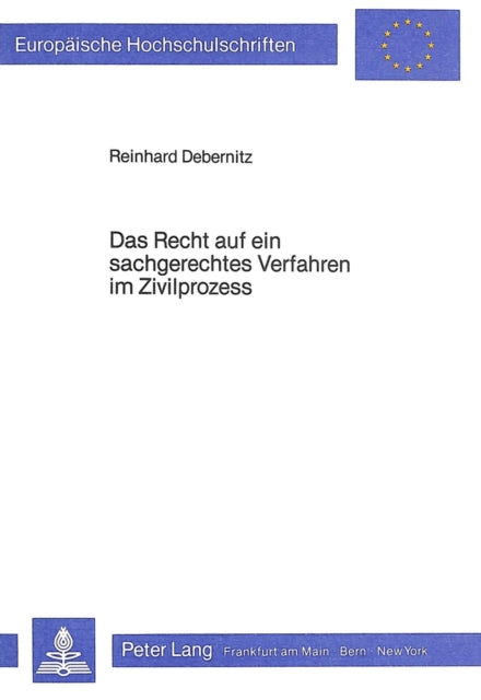Book cover of: Das Recht auf ein sachgerechtes Verfahren im Zivilprozess