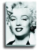 Book cover of: Silver Marilyn