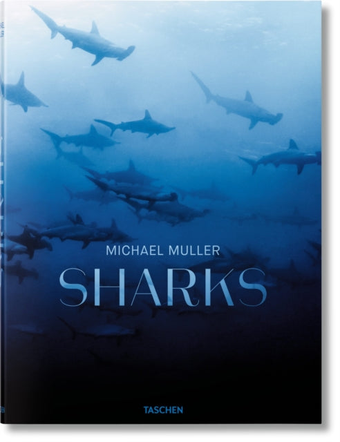 Book cover of: Michael Muller. Sharks