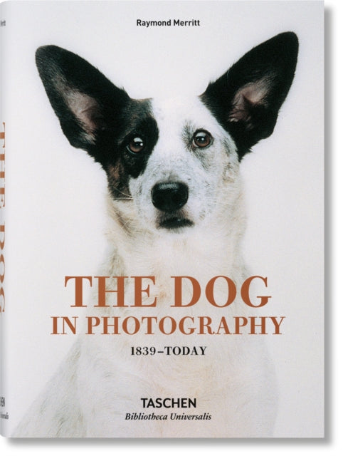 Book cover of: Dog in Photography 1839–Today. By: Raymond Merritt