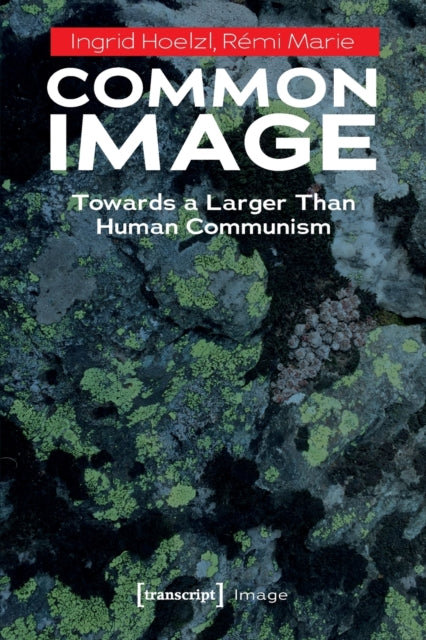 Book cover of: Common Image. By: Ingrid Hoelzl