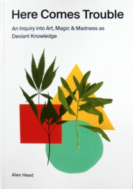 Book cover of: Here Comes Trouble