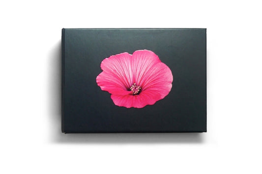 Book cover of: Blooming Book