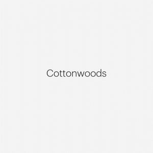 Robert Adams: Cottonwoods