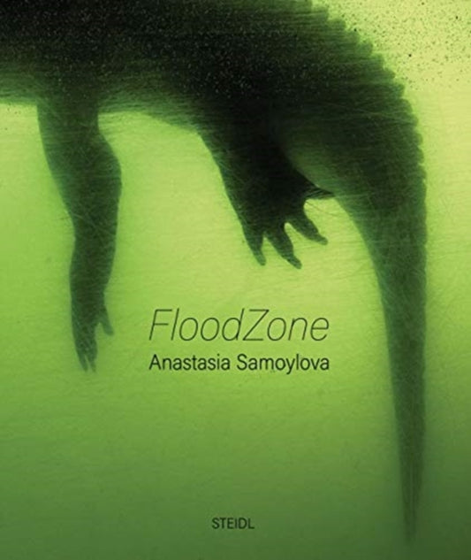 Book cover of: Anastasia Samoylova: FloodZone. By: Anastasia Samoylova