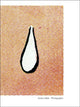Book cover of: Anne Collier:Photographic