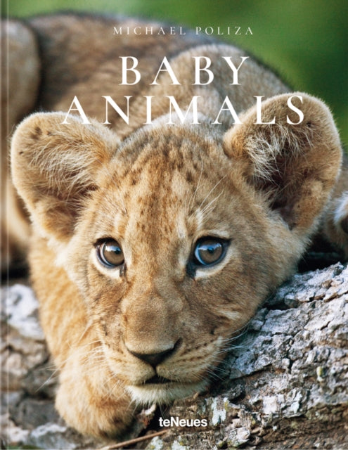 Book cover of: Baby Animals. By: Michael Poliza