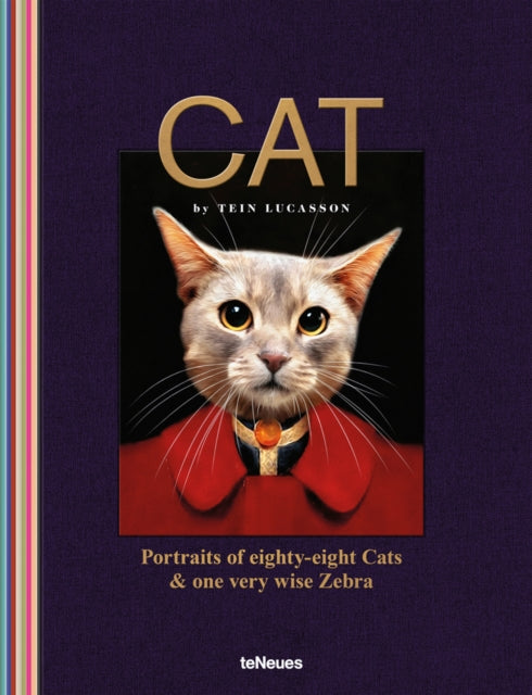 Book cover of: Cat. By: Tein Lucasson