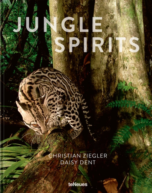 Book cover of: Jungle Spirits