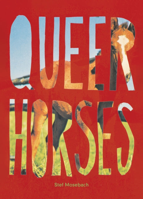 Book cover of: Queer Horses. By: Stef Mosebach