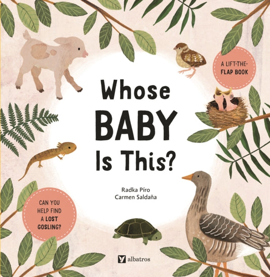 Book cover of: Whose Baby Is This?. By: Radka Piro