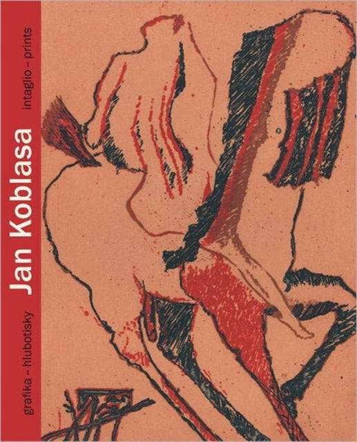 Book cover of: Jan Koblasa. By: Mahulena Neslehova
