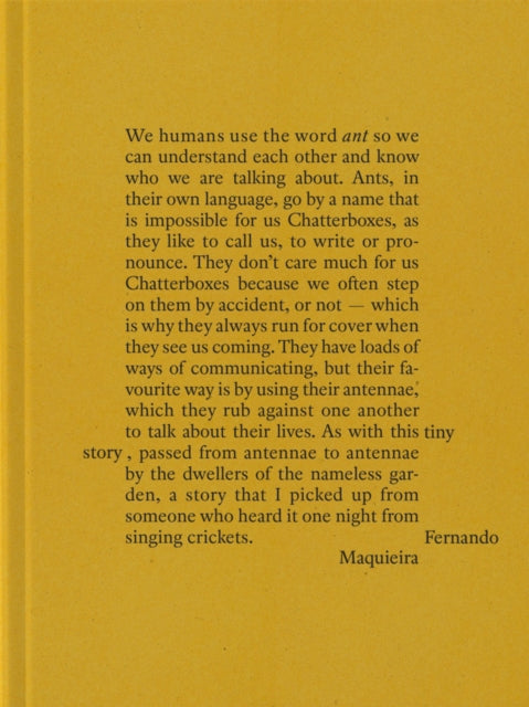 Fernando Maquieira: A Tiny Story