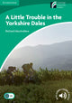 Book cover of: Little Trouble in the Yorkshire Dales Level 3 Lower Intermediate. By: Richard MacAndrew
