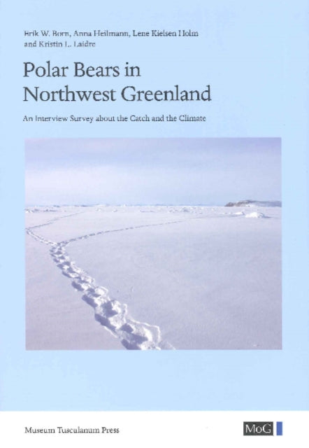 Polar Bears in Northwest Greenland