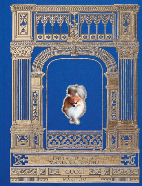 Book cover of: Imitatio Vitae. By: Marina Cicogna