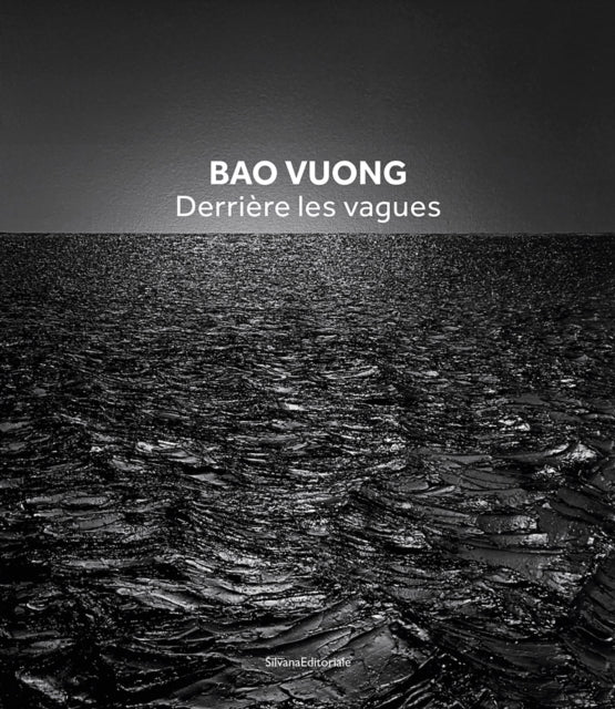 Book cover of: Bao Vuong
