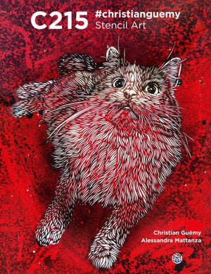 C215: #christianguemy Stencil Art