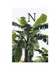 Book cover of: Nathaniel Goldberg. By: Nathaniel Golberg