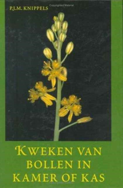 Kweken van bollen in kamer en kas
