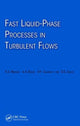 Book cover of: Fast Liquid-Phase Processes in Turbulent Flows. By: Al. Al. Berlin