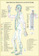 Book cover of: Special Points in Acupunture -- A4