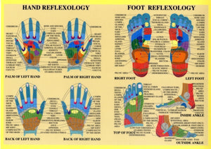 Hand & Foot Reflexology -- A2