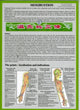 Book cover of: Moxibustion -- Laminated Folded A4