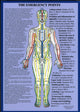 Book cover of: Alarm Points / Emergency Points -- A4