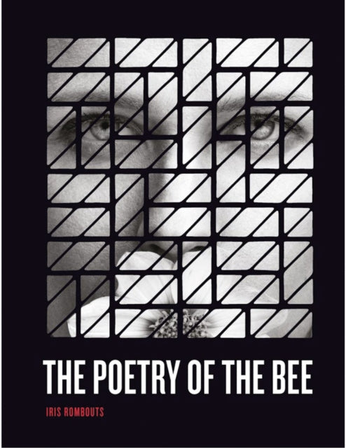 Book cover of: Iris Rombouts. By: Iris Rombouts