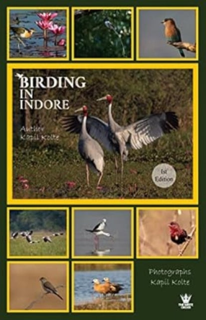 Book cover of: Birding In Indore