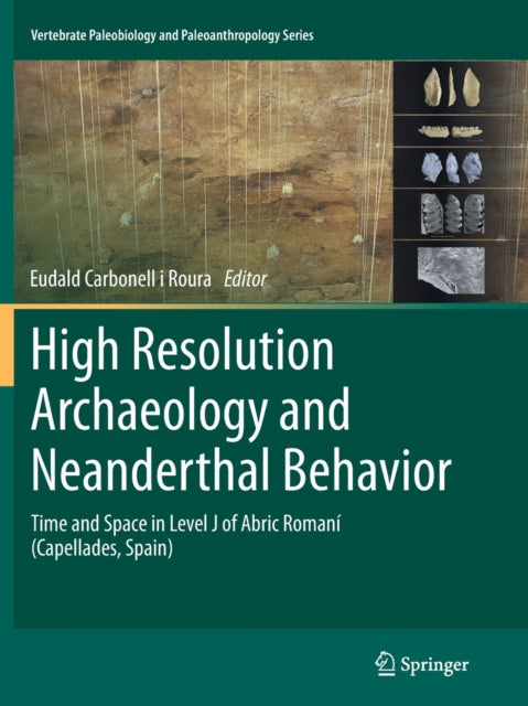 High Resolution Archaeology and Neanderthal Behavior